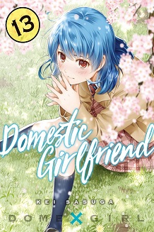 Domestic na Kanojo Domestic na Kanojo
