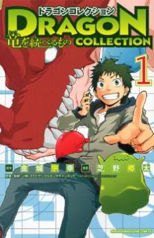 Dragon Collection Dragon Collection