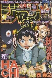 Hachi Hachi