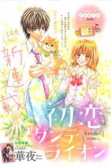 Hatsukoi Dandelion Hatsukoi Dandelion