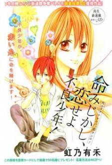 Inochi Mijikashi, Koi seyo Furyou Shounen! Inochi Mijikashi, Koi seyo Furyou Shounen!