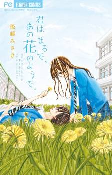 Kimi wa Maru de, Ano Hana no You de. Kimi wa Maru de, Ano Hana no You de.