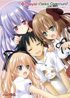 Mayoi Neko Overrun Mayoi Neko Overrun