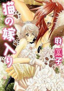 Neko no Yomeiri Neko no Yomeiri