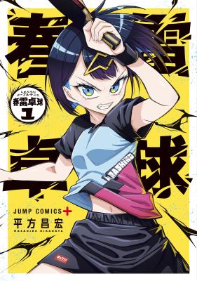 Shunrai Table Tennis Shunrai Table Tennis