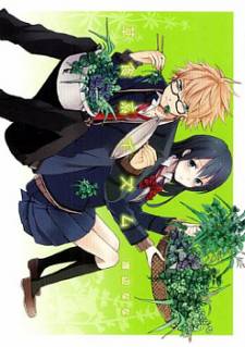 Soushokukei Ism Soushokukei Ism