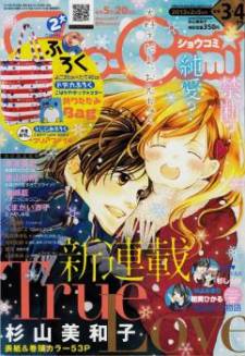 True Love (SUGIYAMA Miwako) True Love (SUGIYAMA Miwako)
