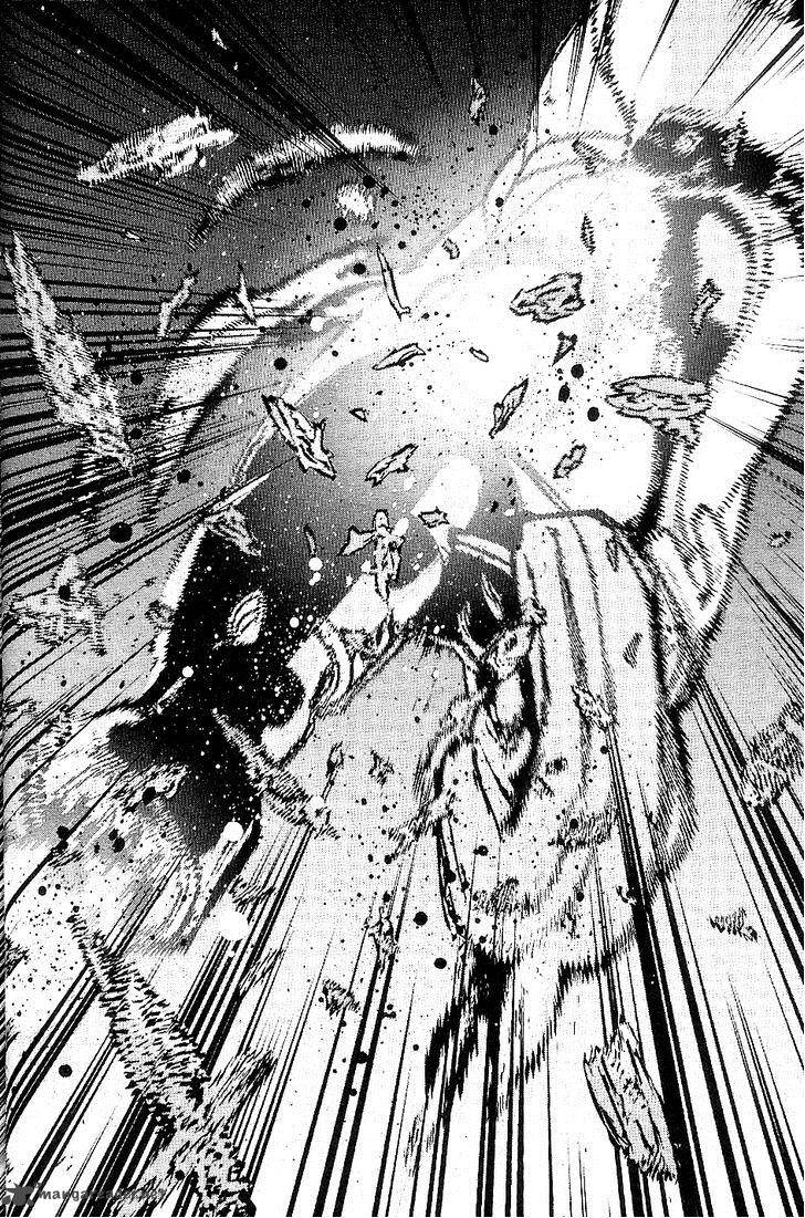 009 Recyborg 33 32