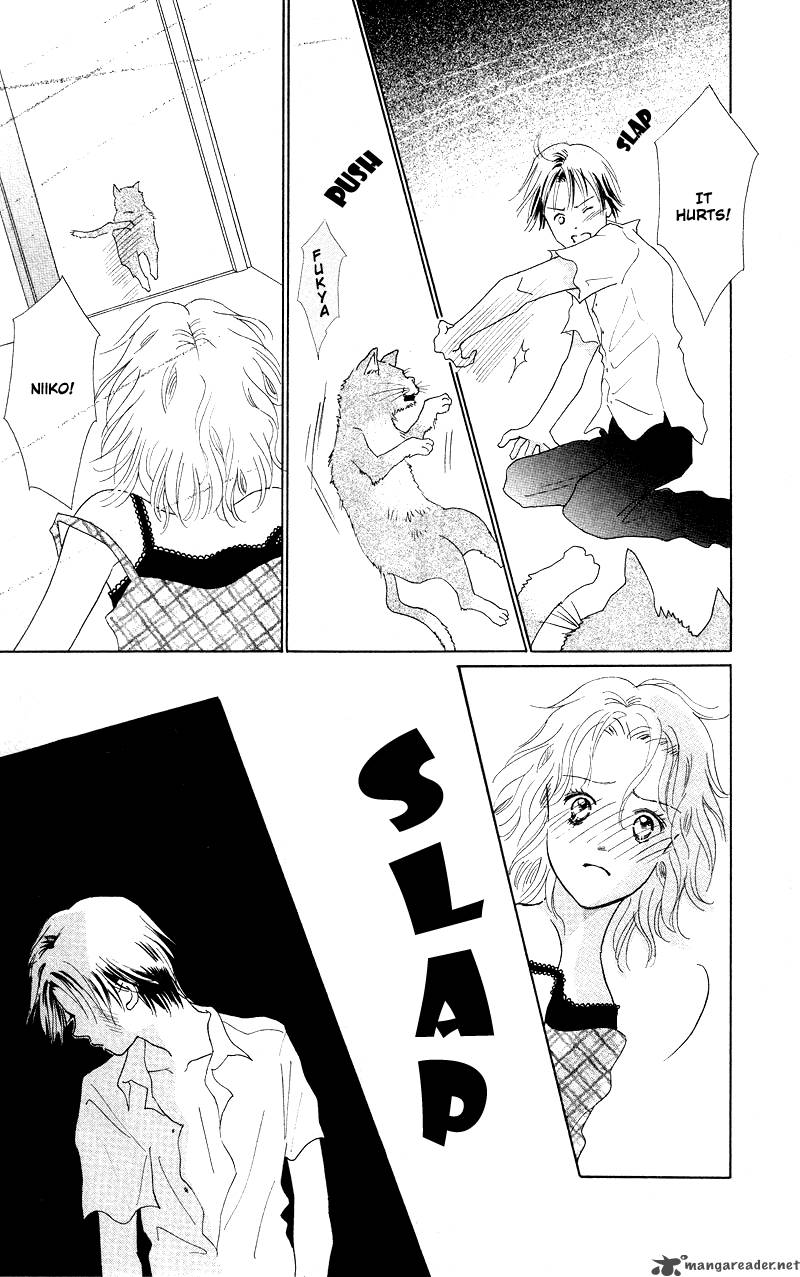37 Degrees Kiss 4 15