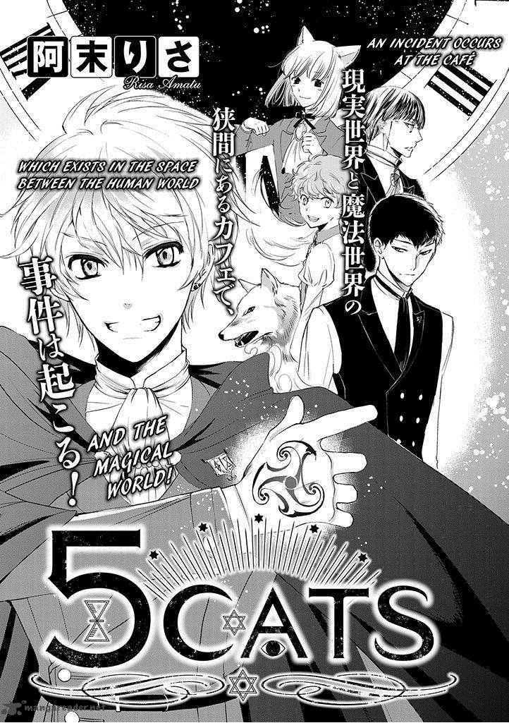 5 Cats 1 1