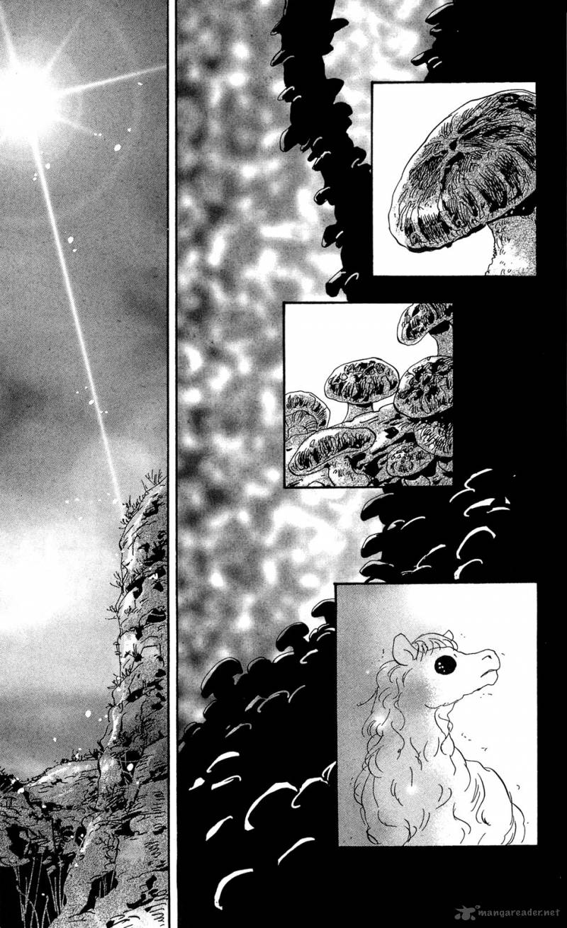 7 Seeds 115 37