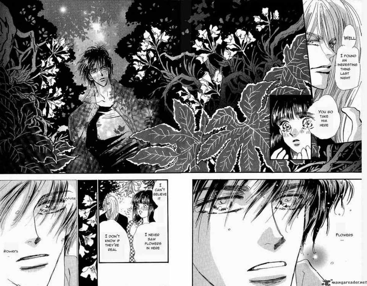 7 Seeds 35 20