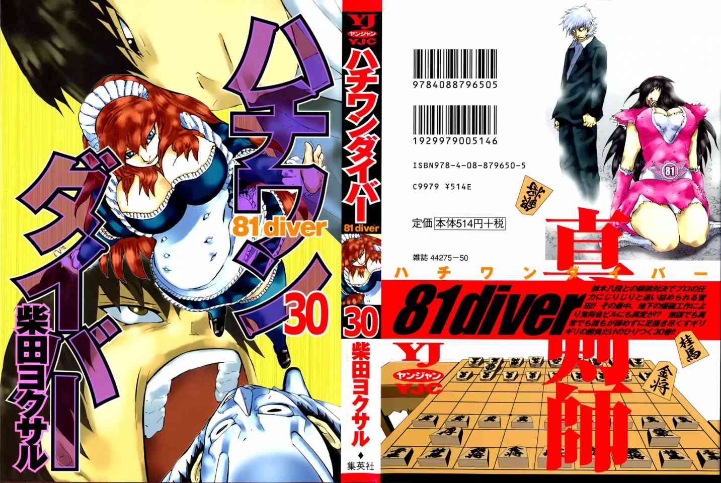 81 Diver 310 1