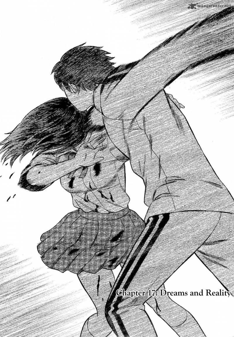 A Falsified Romance 17 1