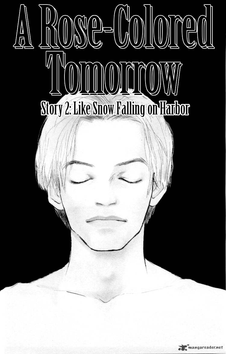 A Rose Colored Tomorrow 2 1