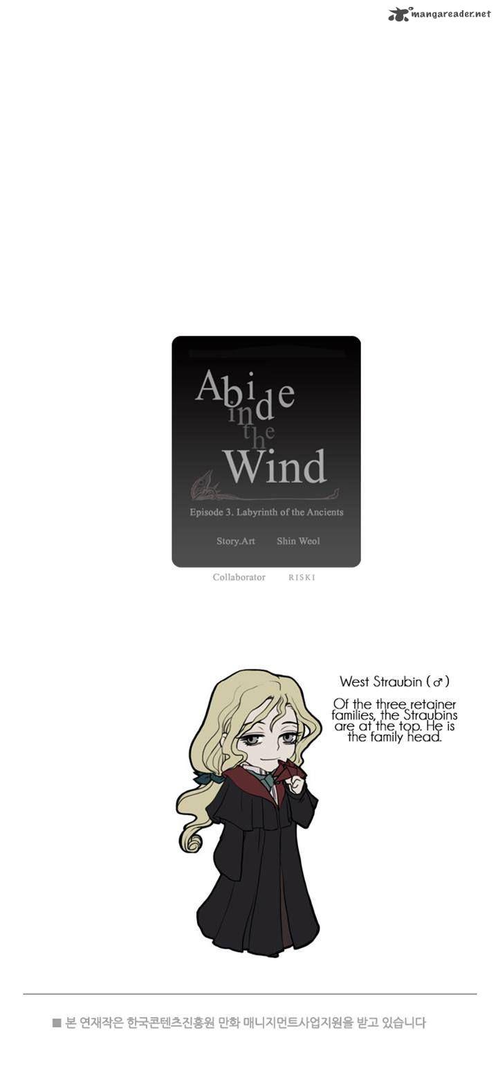 Abide In The Wind 45 20