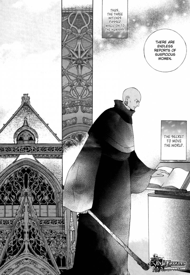 Absolute Witch 14 5