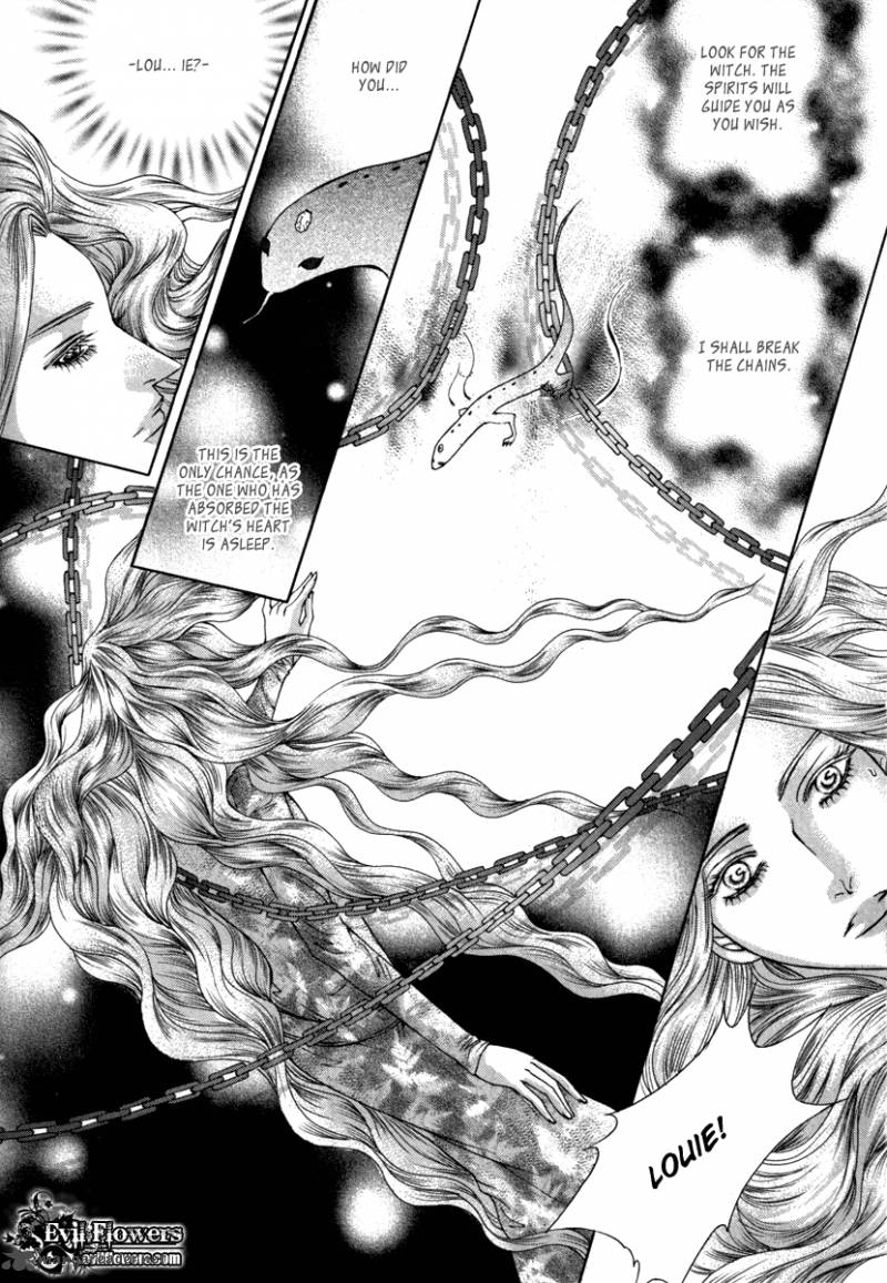 Absolute Witch 25 5