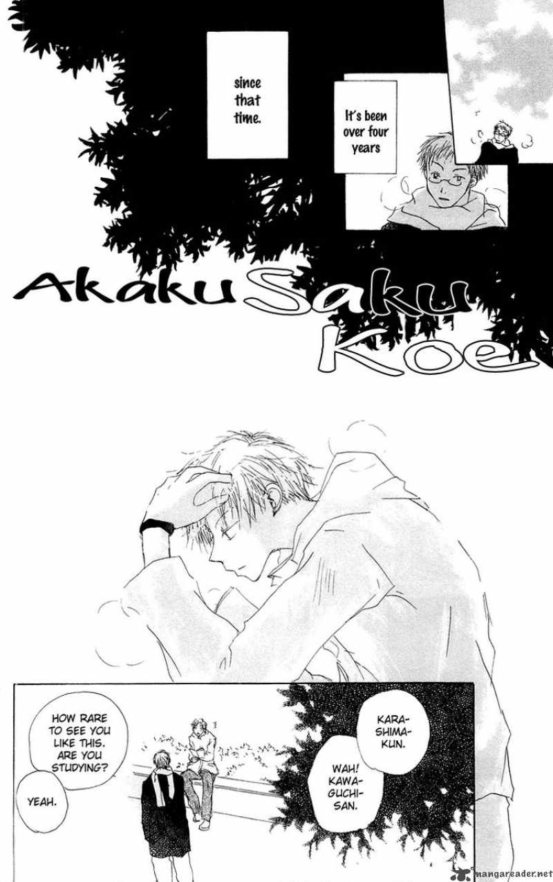 Akaku Saku Koe 12 2