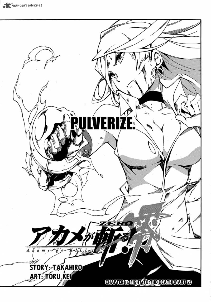 Akame Ga Kill Zero 11 2