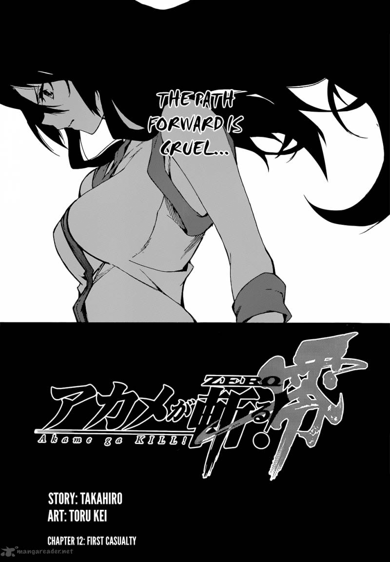 Akame Ga Kill Zero 12 1