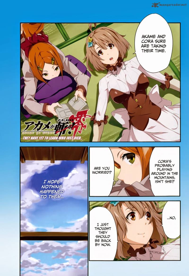 Akame Ga Kill Zero 13 2