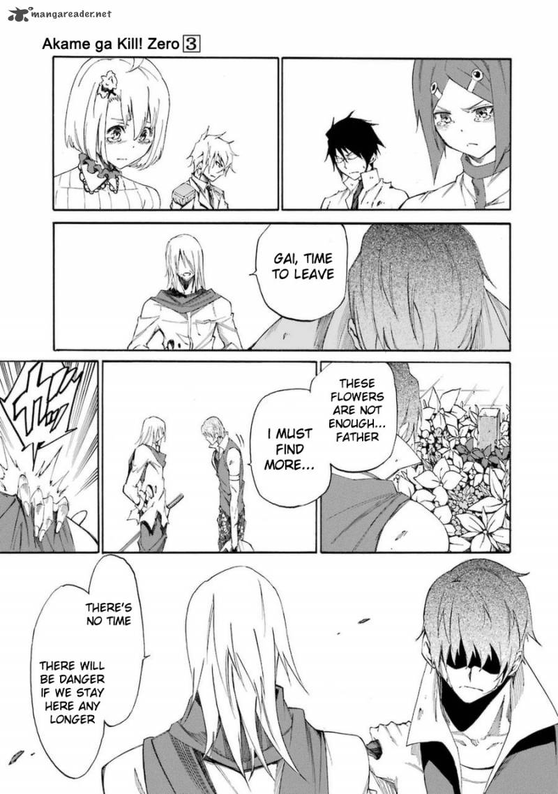 Akame Ga Kill Zero 14 5