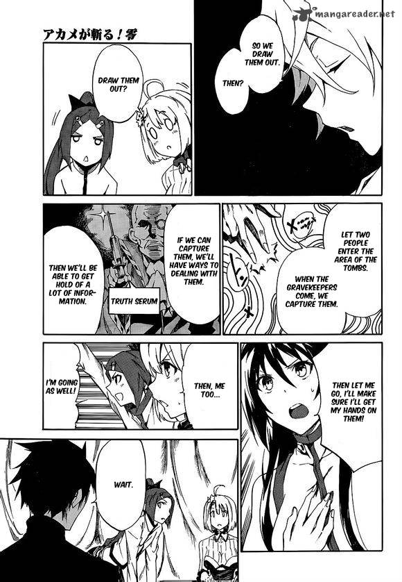 Akame Ga Kill Zero 16 5