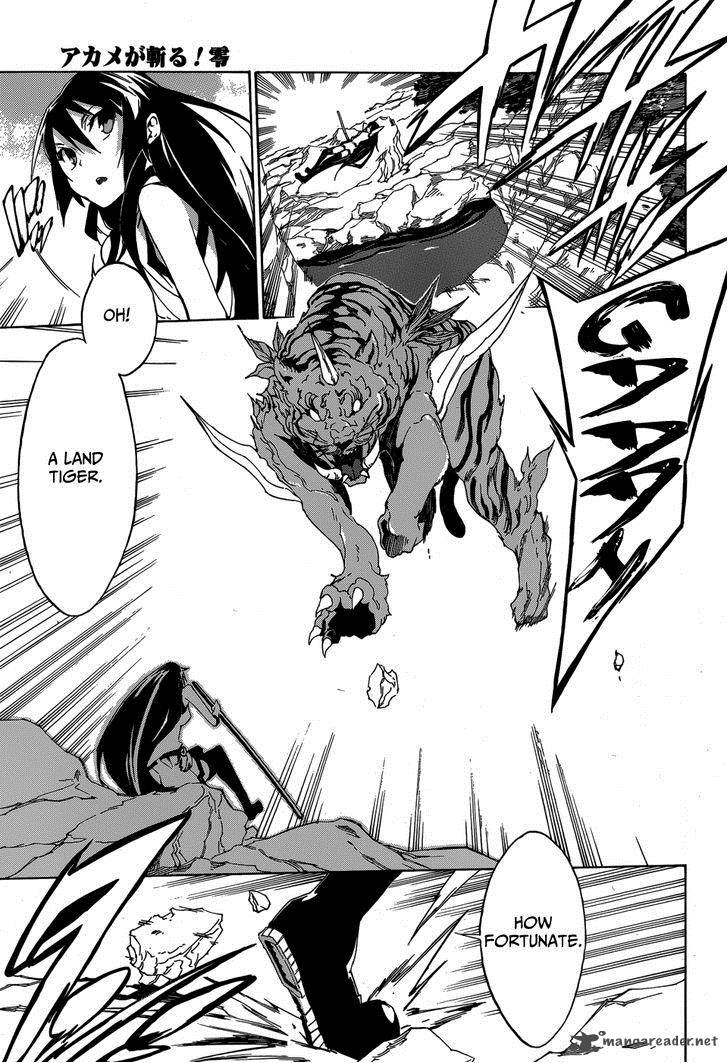 Akame Ga Kill Zero 2 16