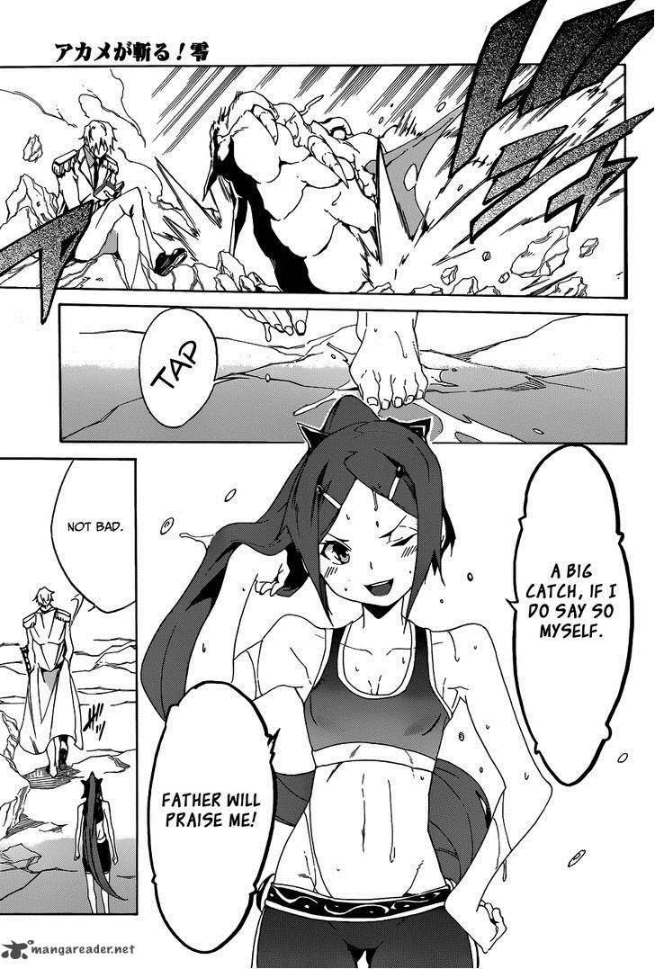 Akame Ga Kill Zero 2 20