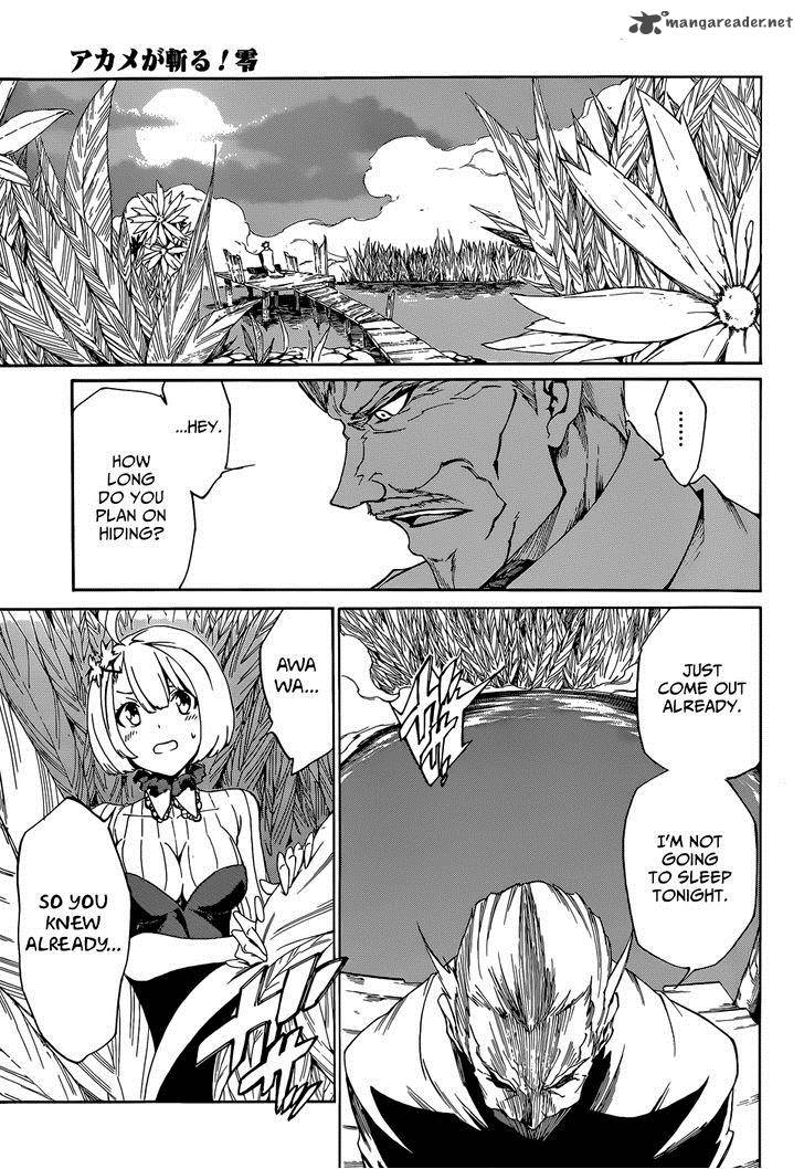 Akame Ga Kill Zero 4 10