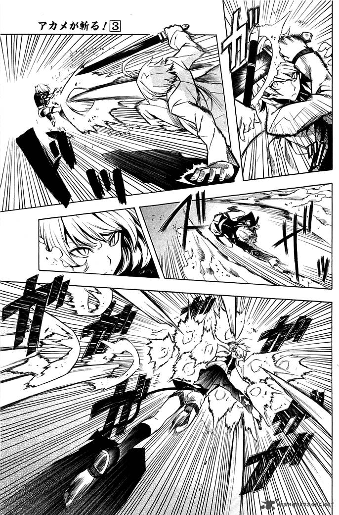 Akame Ga Kiru 13 11