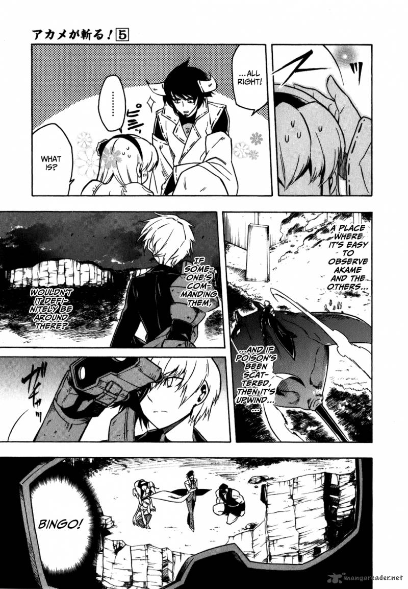 Akame Ga Kiru 21 28