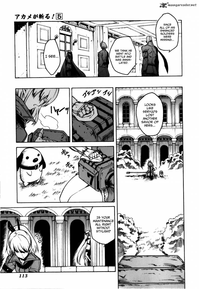Akame Ga Kiru 22 15