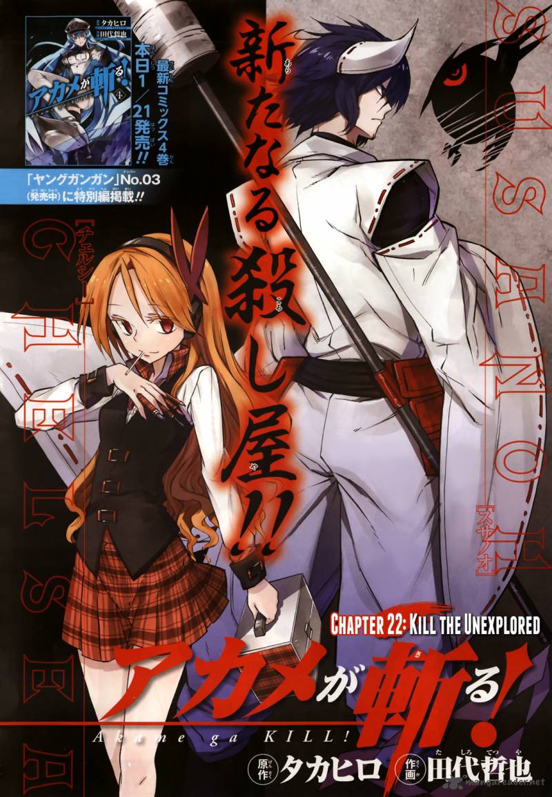 Akame Ga Kiru 22 3