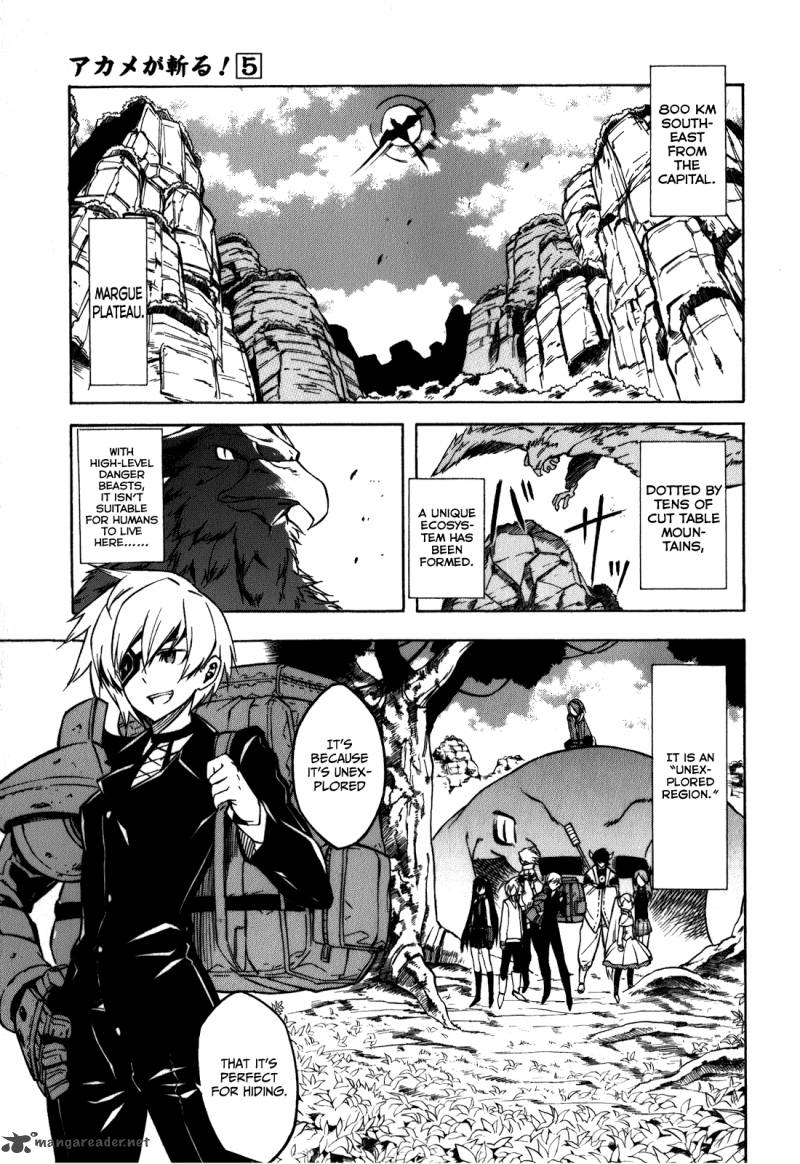 Akame Ga Kiru 22 5