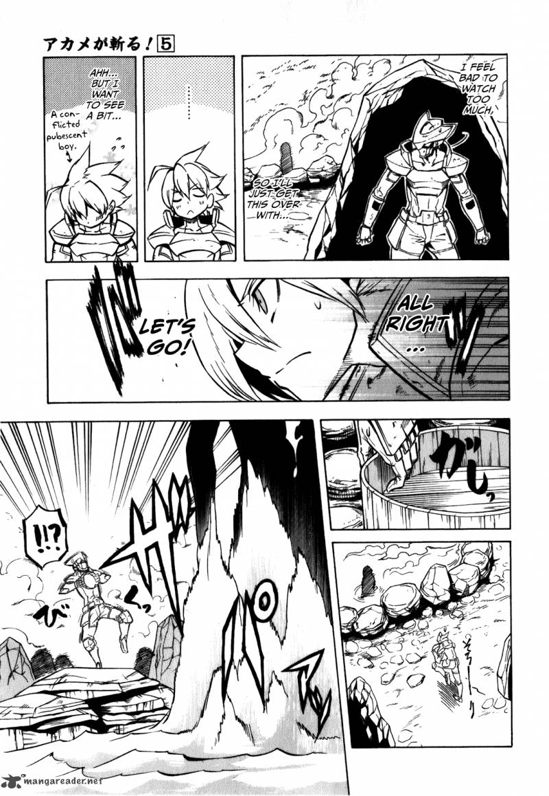 Akame Ga Kiru 23 27