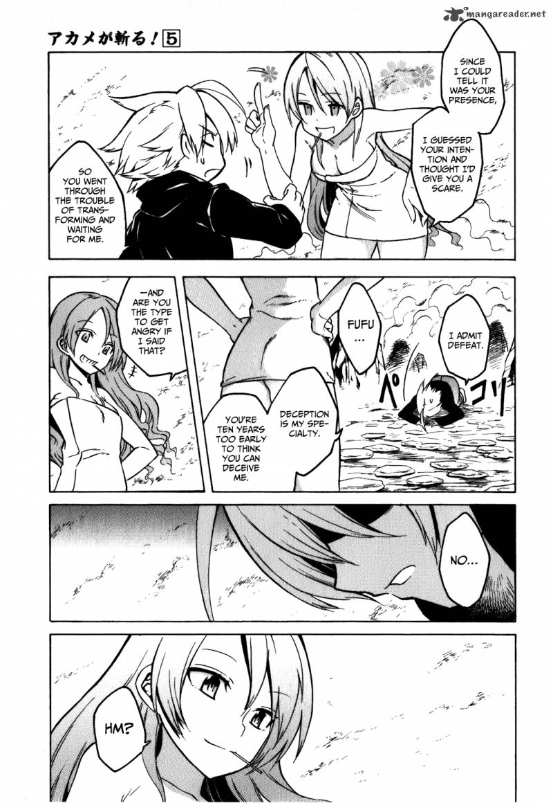Akame Ga Kiru 23 31