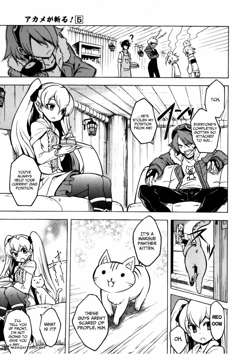 Akame Ga Kiru 23 7