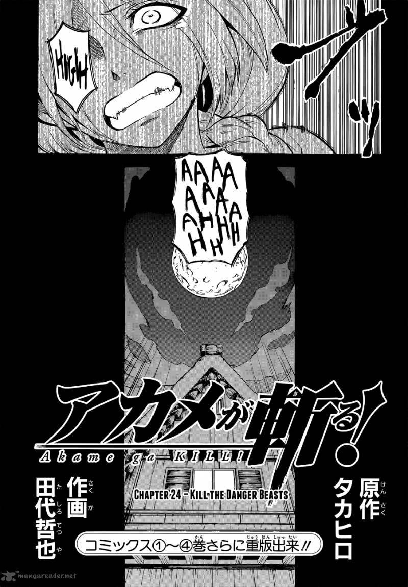 Akame Ga Kiru 24 3