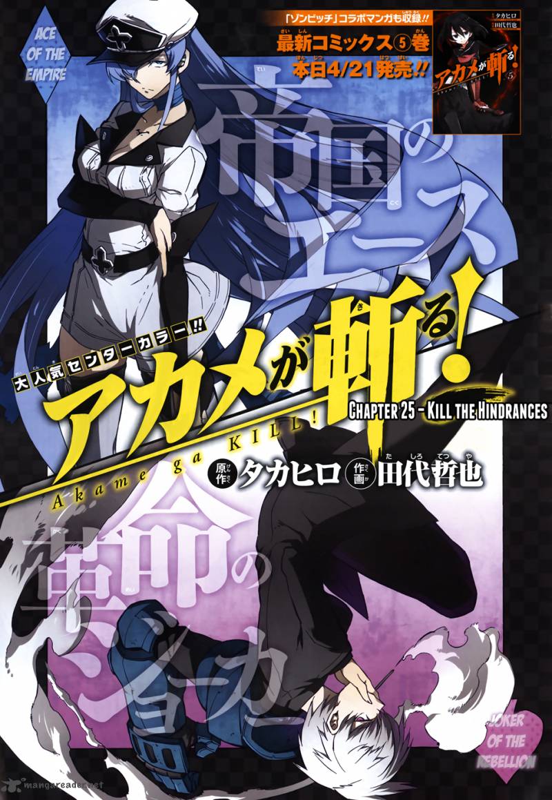 Akame Ga Kiru 25 3