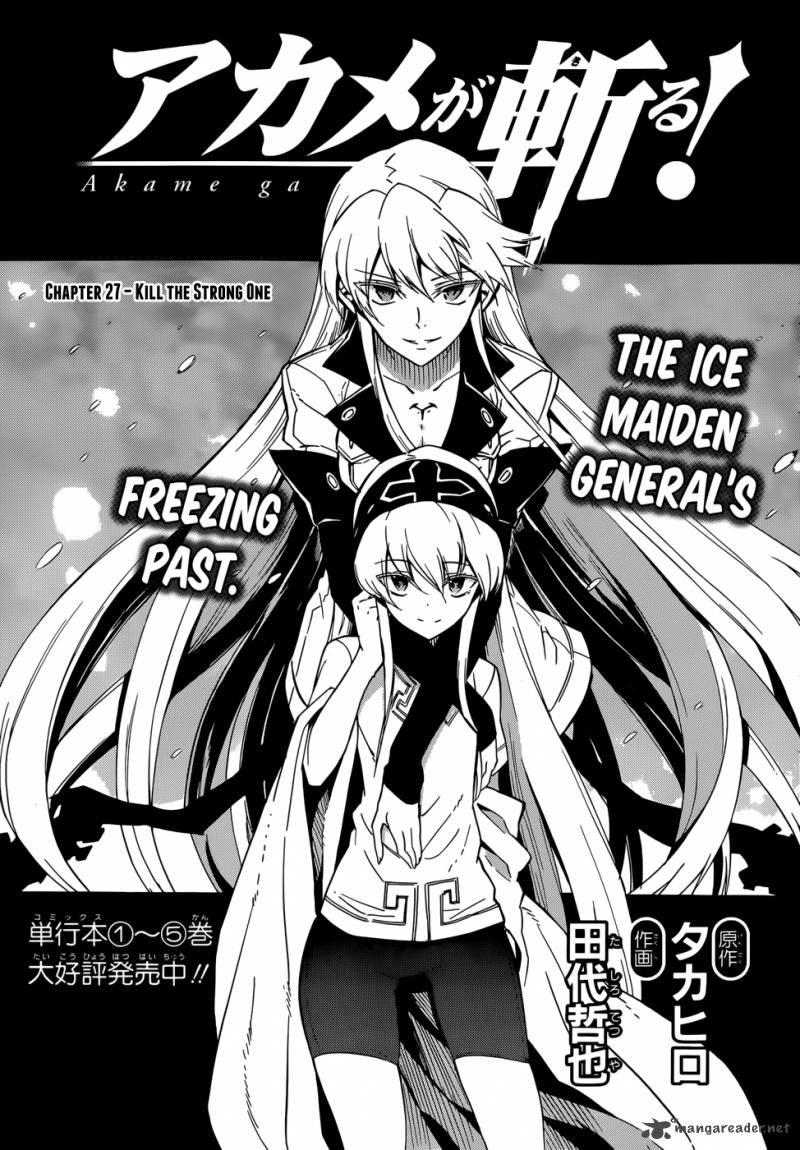 Akame Ga Kiru 27 3