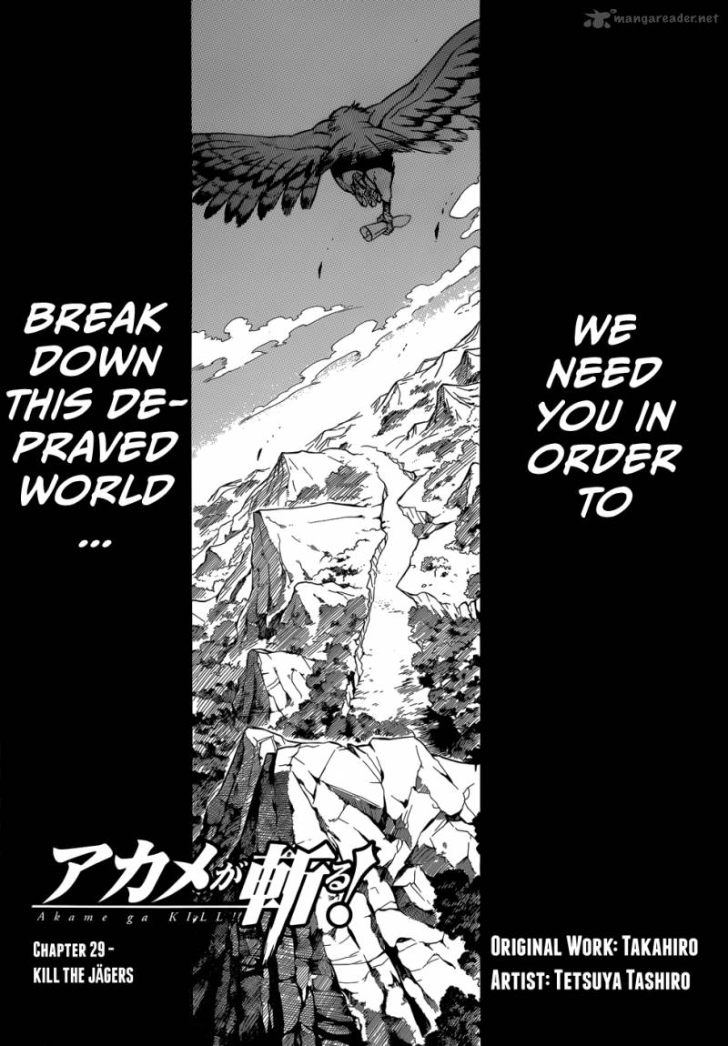 Akame Ga Kiru 29 3