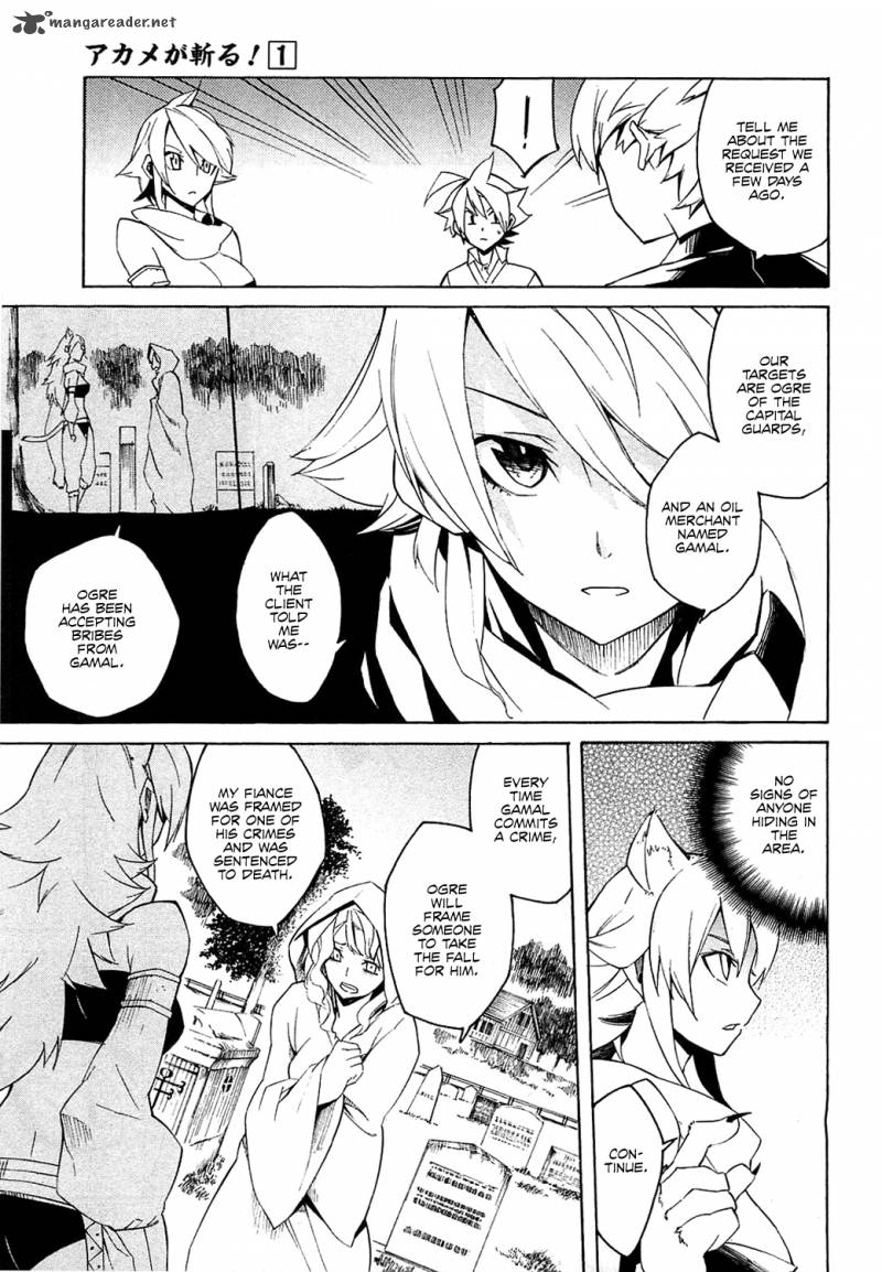 Akame Ga Kiru 3 12