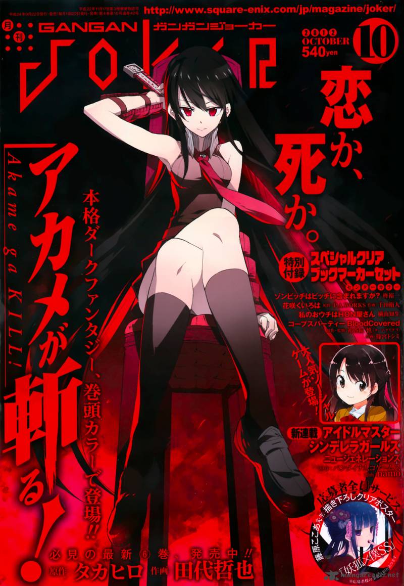 Akame Ga Kiru 30 1