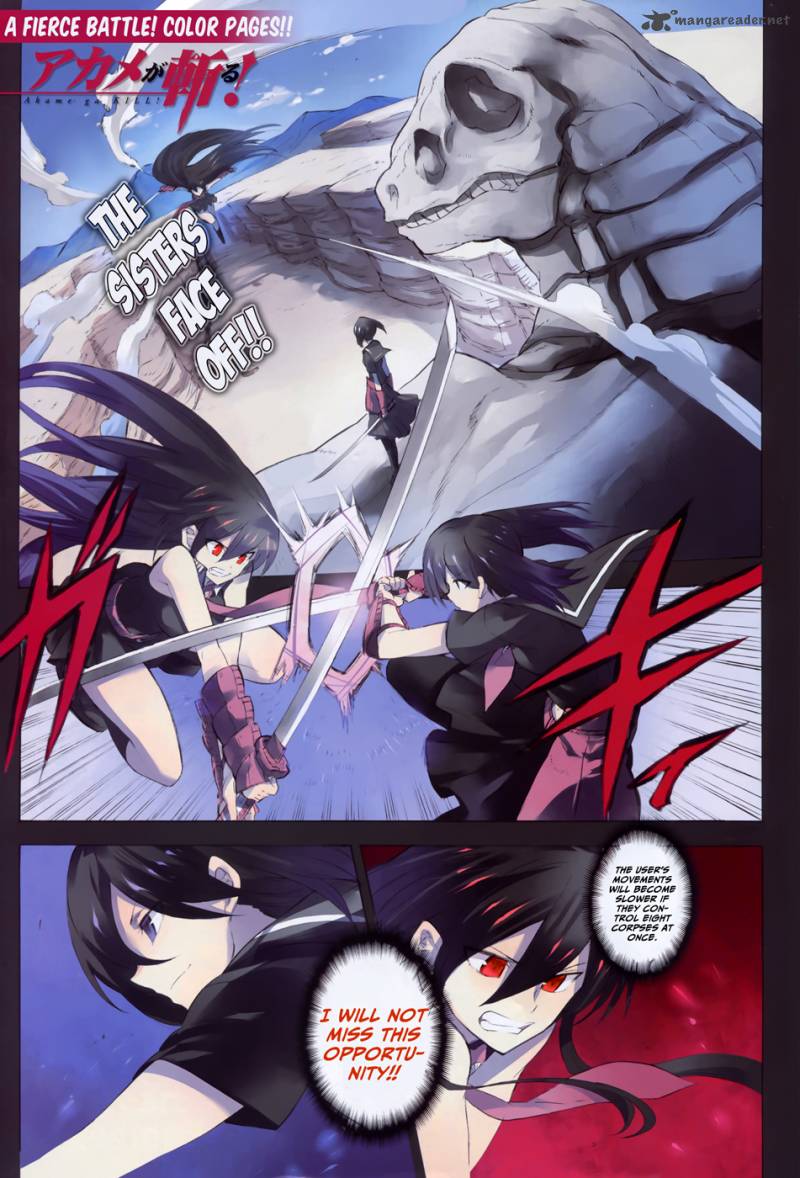 Akame Ga Kiru 30 2