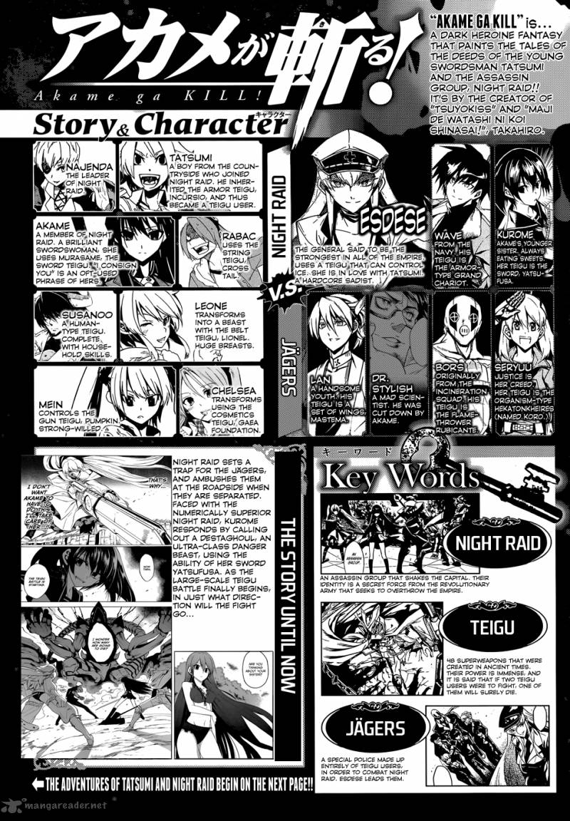 Akame Ga Kiru 30 4