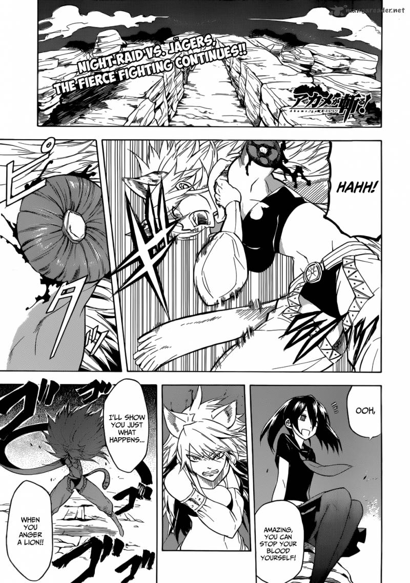 Akame Ga Kiru 31 1
