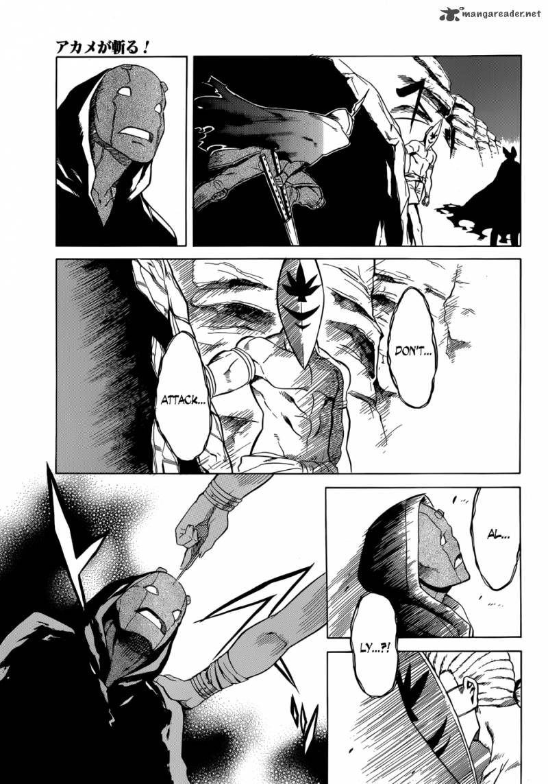 Akame Ga Kiru 31 25
