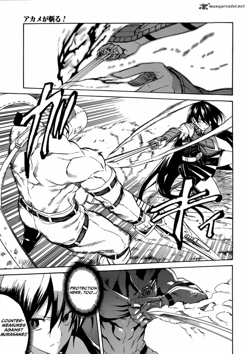 Akame Ga Kiru 31 7